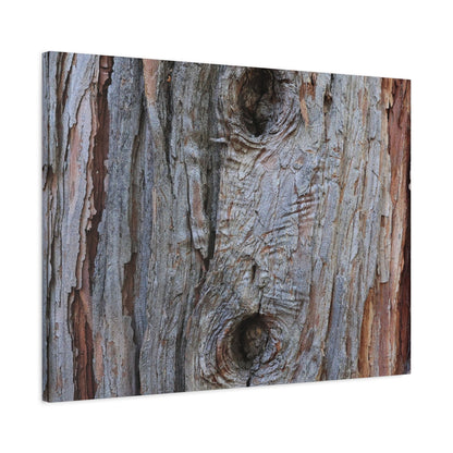 Wooden Memoir - Unique Frameless Canvas Wall Art - Art By Earth