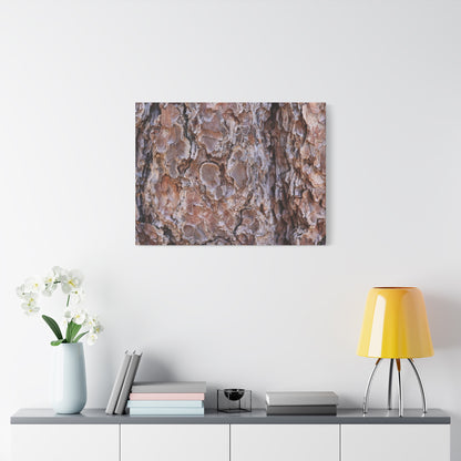 Rugged Bark Landscape - Unique Frameless Canvas Wall Art - Art By Earth