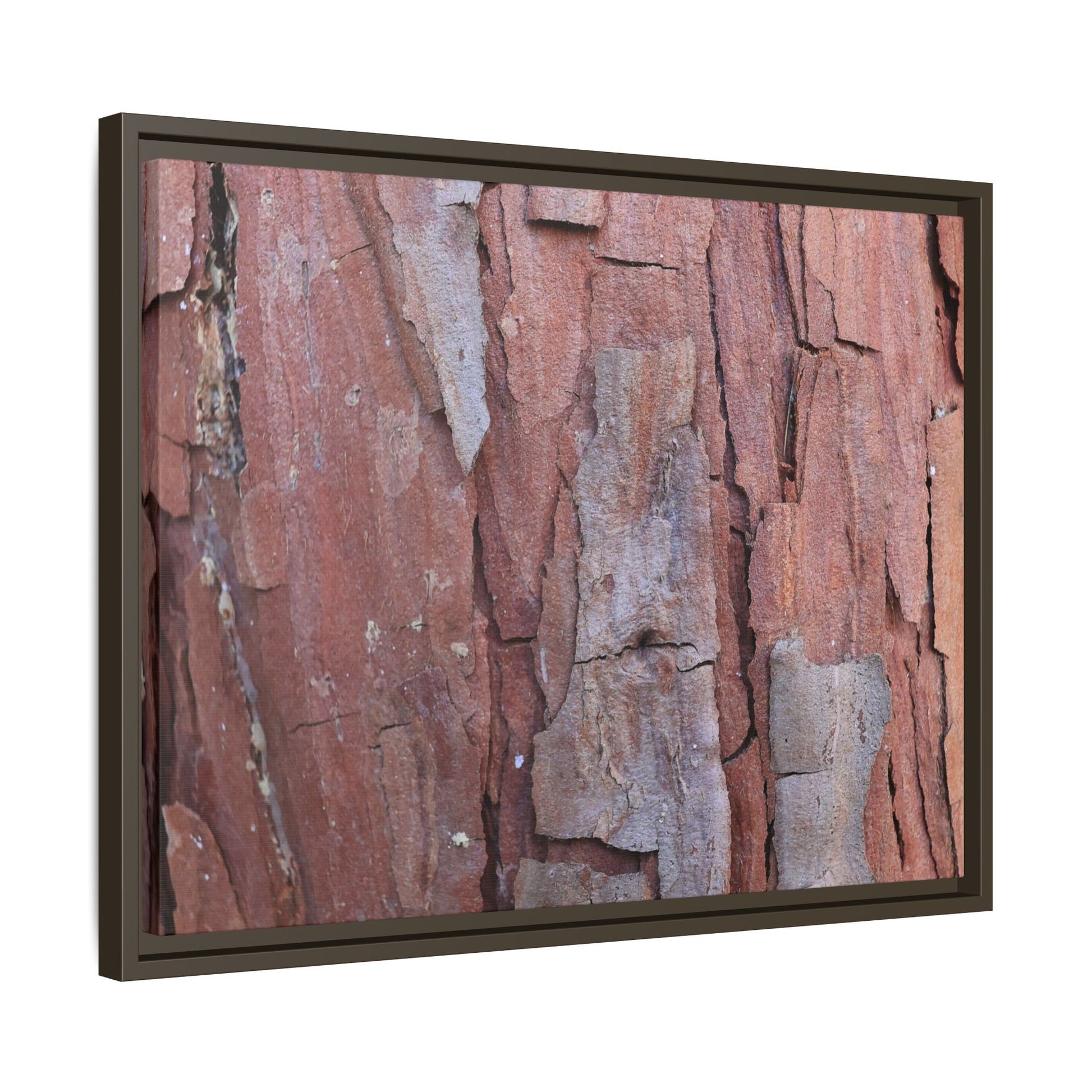 Peeling Bark - Unique Stretched Canvas Wall Art - Art By Earth