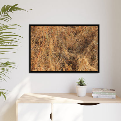 Dried Vegetation Study - Unique Stretched Canvas Wall Art - Art By Earth