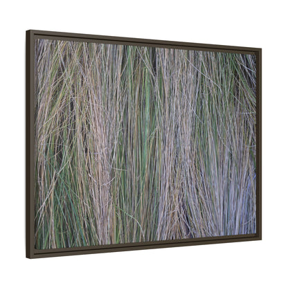 Whispers of Silver Grass - Unique Stretched Canvas Wall Art - Art By Earth