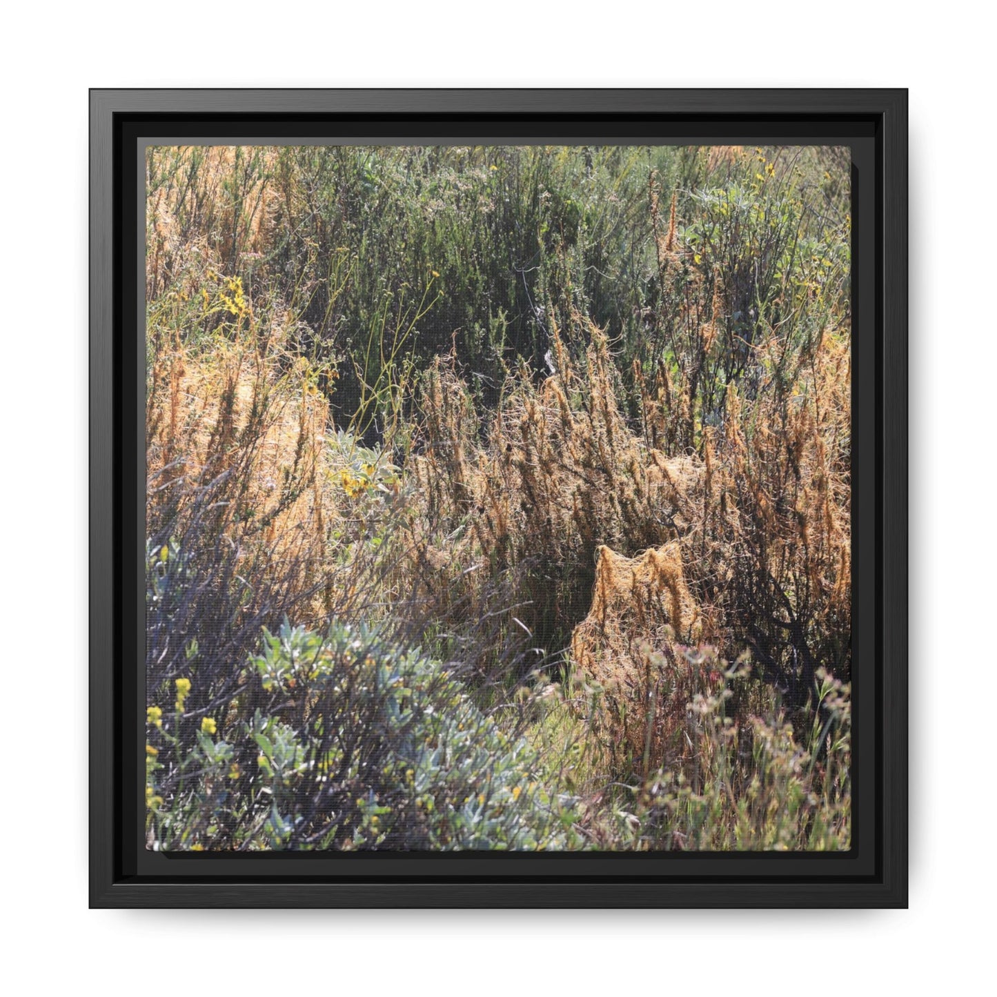 Drought-Stricken Landscape - Unique Stretched Canvas Wall Art - Art By Earth