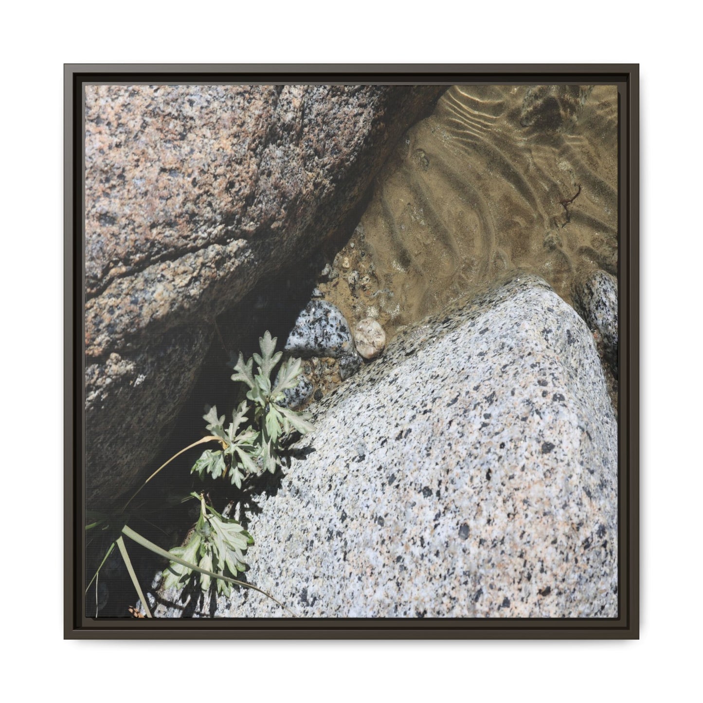 Resilience in Stone - Unique Stretched Canvas Wall Art - Art By Earth