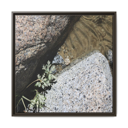 Resilience in Stone - Unique Stretched Canvas Wall Art - Art By Earth