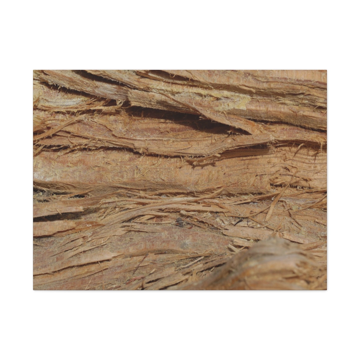 Layers of Memory - Unique Frameless Canvas Wall Art - Art By Earth