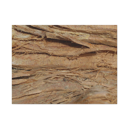 Layers of Memory - Unique Frameless Canvas Wall Art - Art By Earth