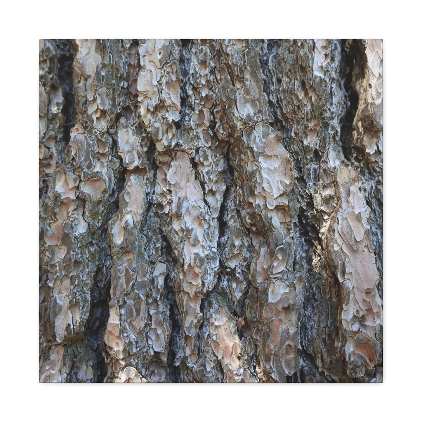 Elemental Tapestry - Unique Frameless Canvas Wall Art - Art By Earth