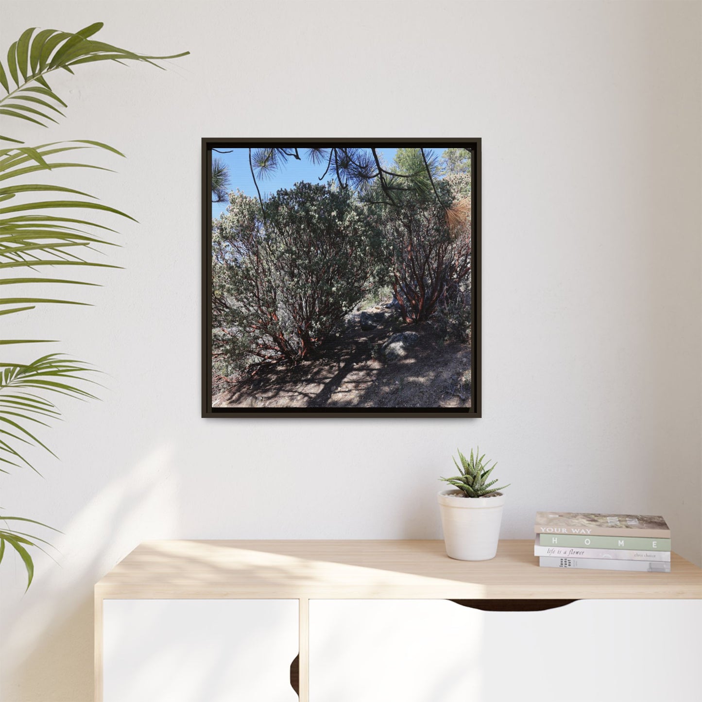 Desert Trail Through Blooming Manzanita - Unique Stretched Canvas Wall Art