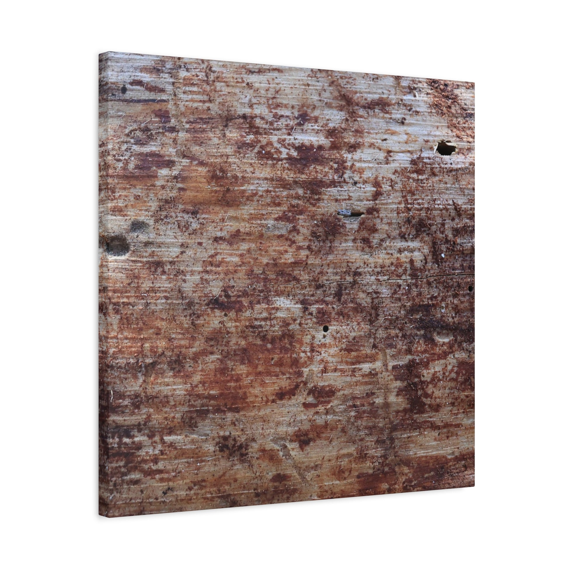 Decaying Memoir - Unique Frameless Canvas Wall Art - Art By Earth