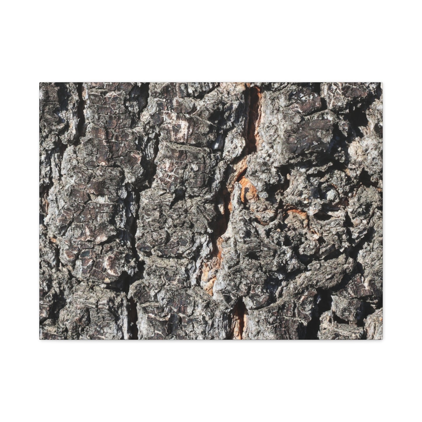 Arboreal Skin - Unique Frameless Canvas Wall Art - Art By Earth