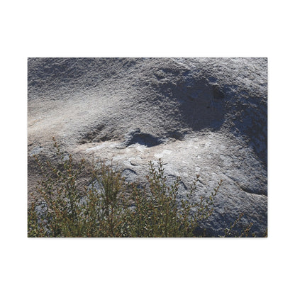 Stone Face in Nature - Unique Frameless Canvas Wall Art