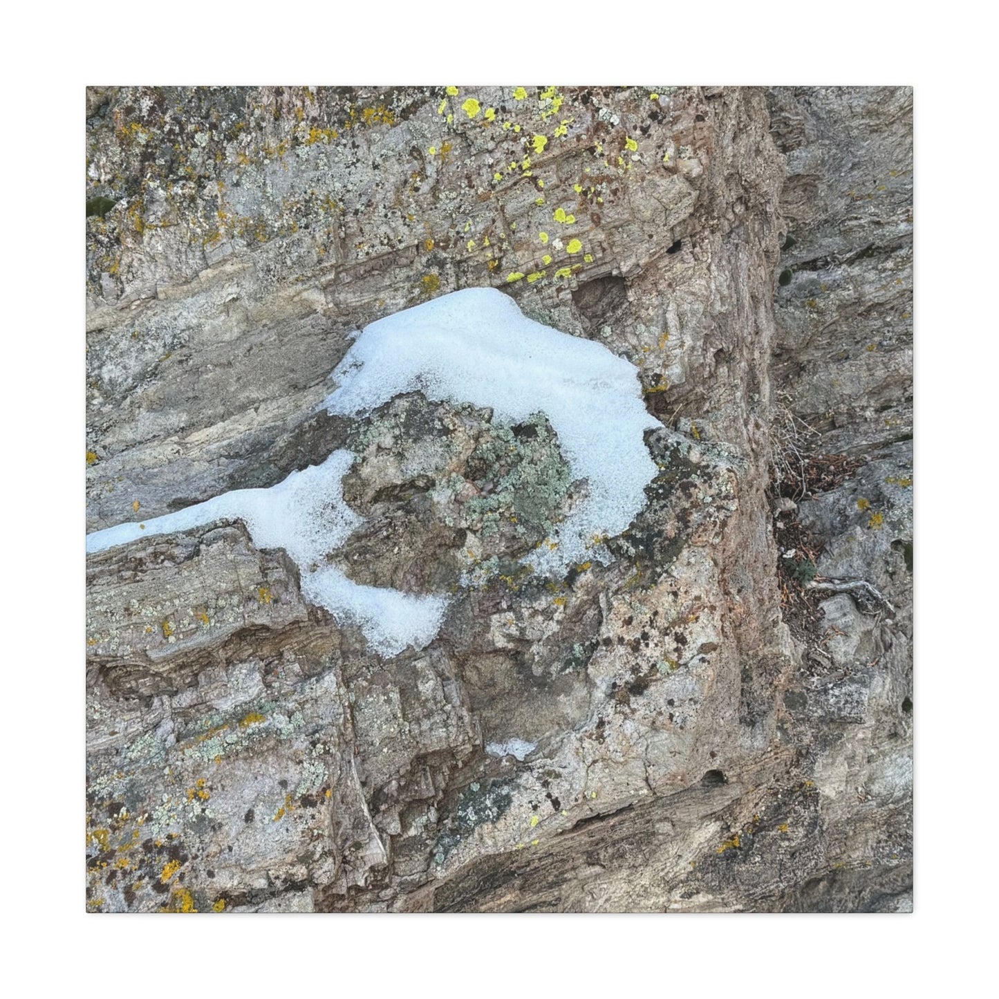 Snow on Stone - Unique Frameless Canvas Wall Art