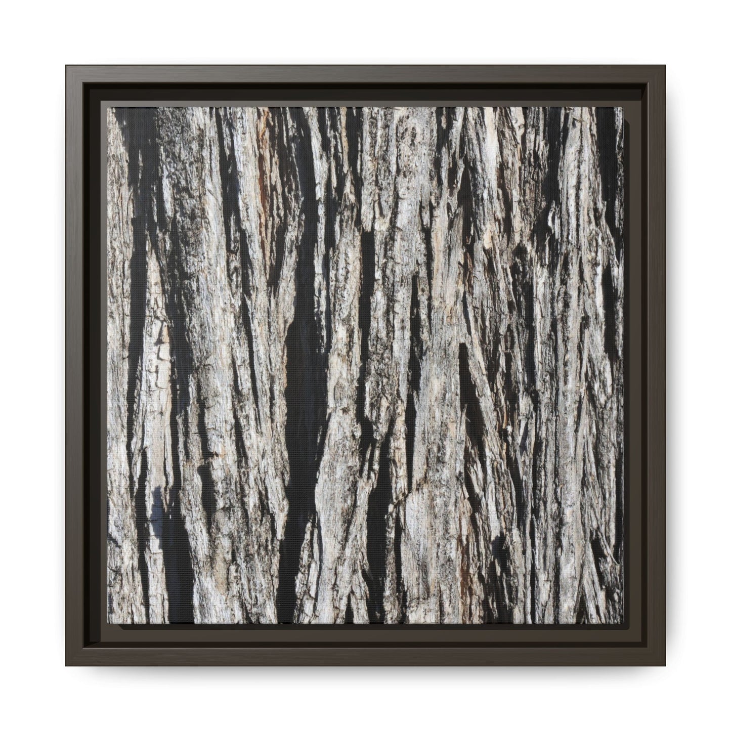 Bark Lines - Unique Stretched Canvas Wall Art - Art By Earth