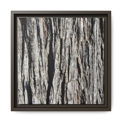 Bark Lines - Unique Stretched Canvas Wall Art - Art By Earth