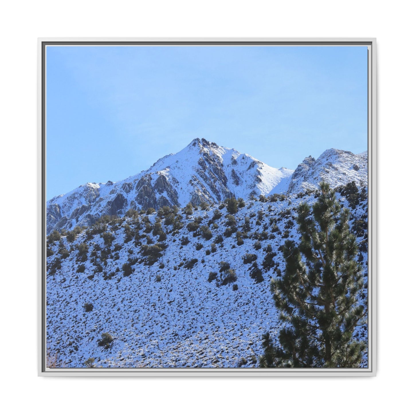 Snow's Embrace - Unique Stretched Canvas Wall Art
