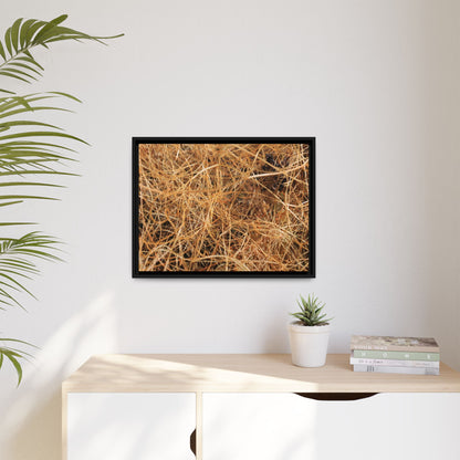Dried Grass - Unique Stretched Canvas Wall Art - Art By Earth