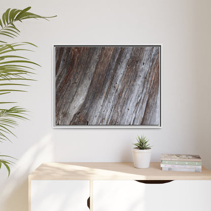 Aged Timber Texture - Unique Stretched Canvas Wall Art - Art By Earth