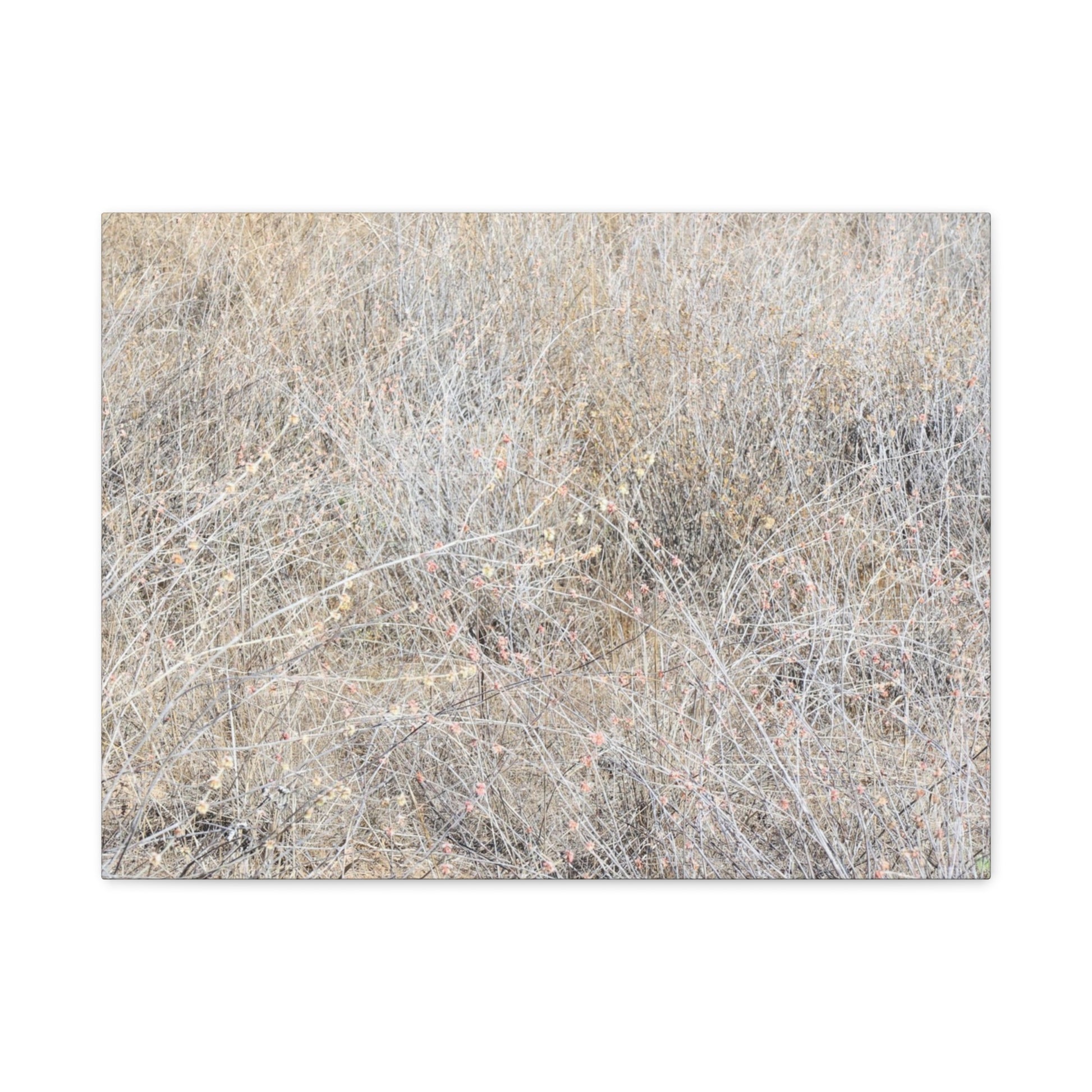 Tangled Whispers of Autumn's Fading Breath - Unique Frameless Canvas Wall Art - Art By Earth