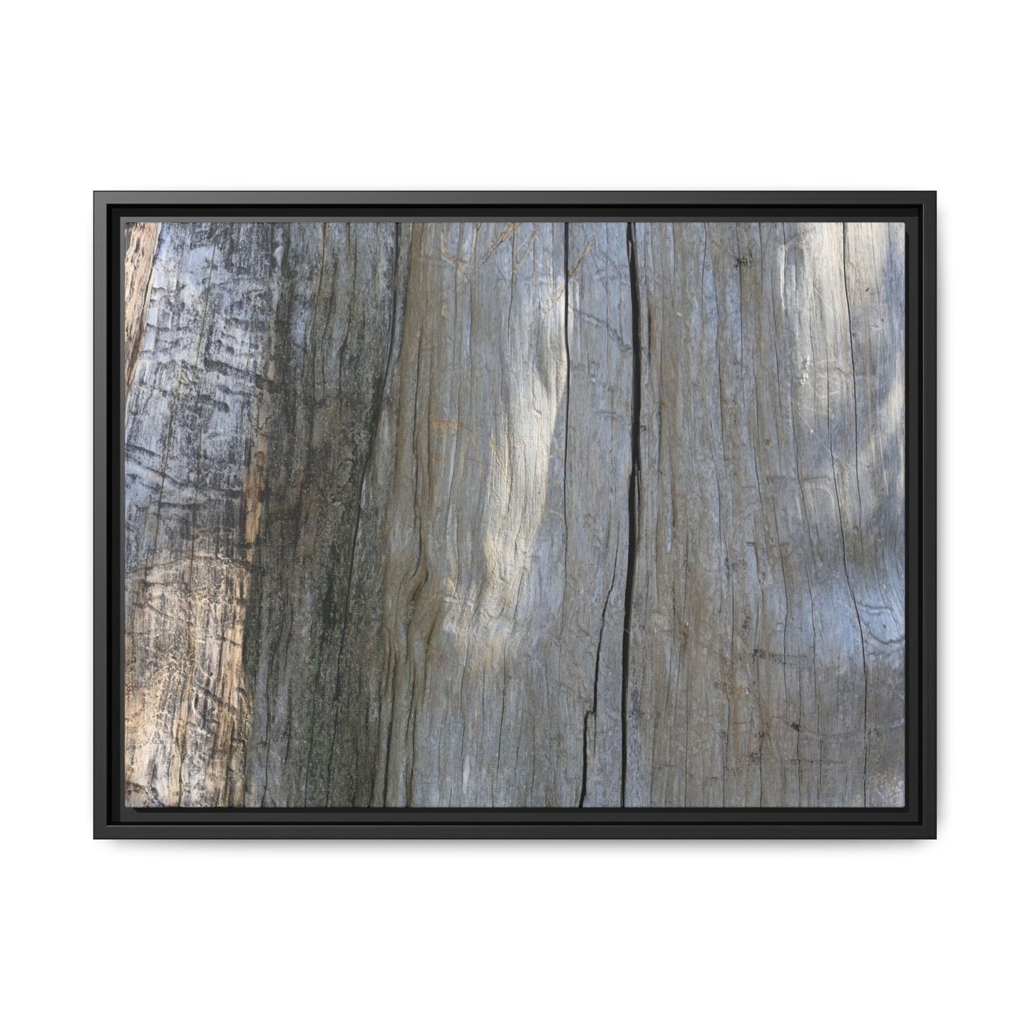 Cracked Timber Texture - Unique Stretched Canvas Wall Art