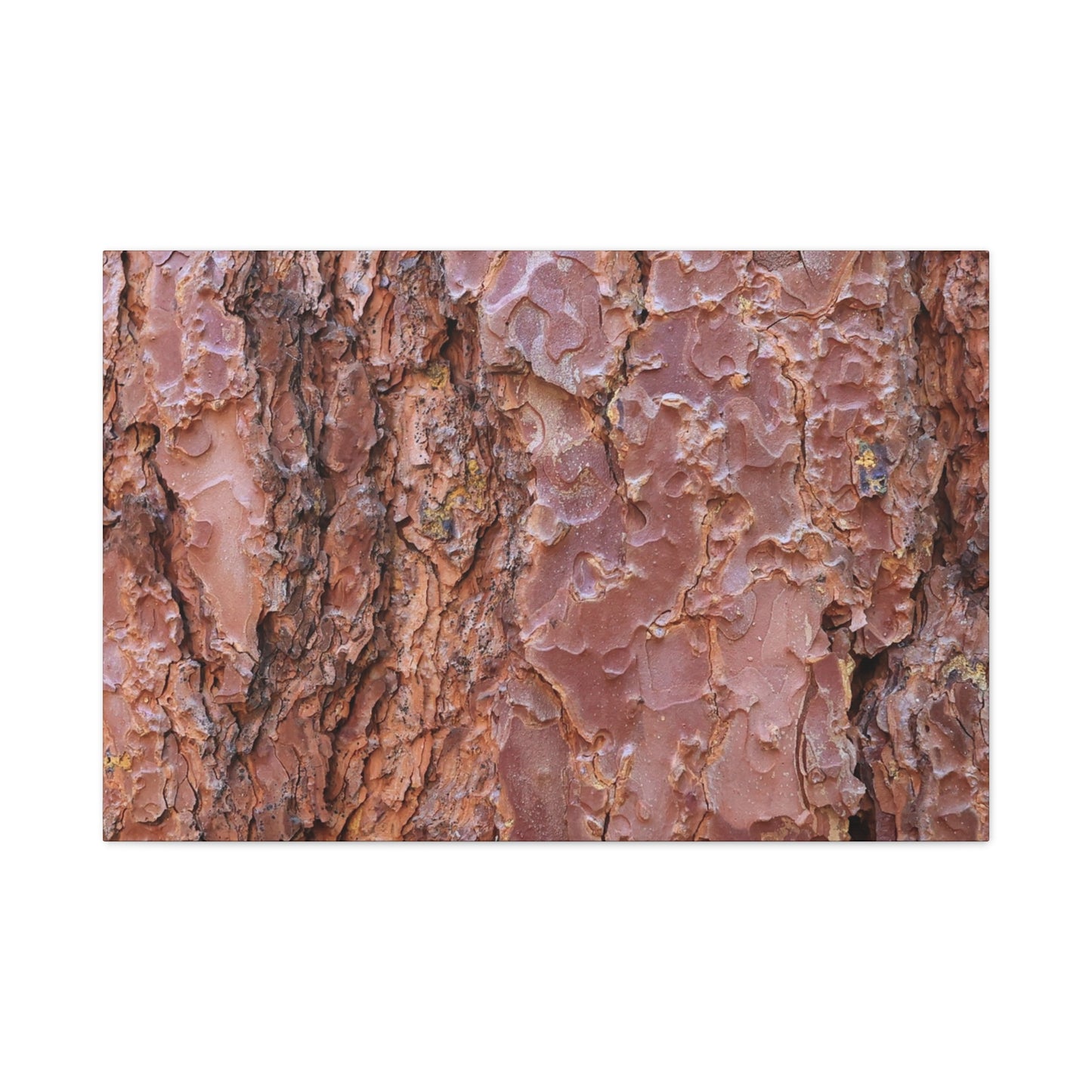 Rusty Textures - Unique Frameless Canvas Wall Art - Art By Earth