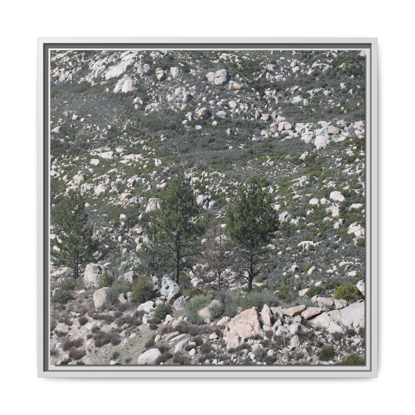 Rocky Hillside with Pine Trees - Unique Stretched Canvas Wall Art - Art By Earth