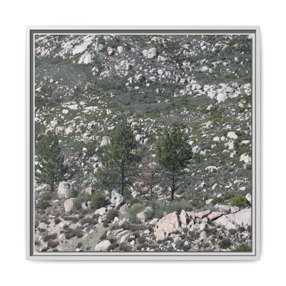 Rocky Hillside with Pine Trees - Unique Stretched Canvas Wall Art - Art By Earth