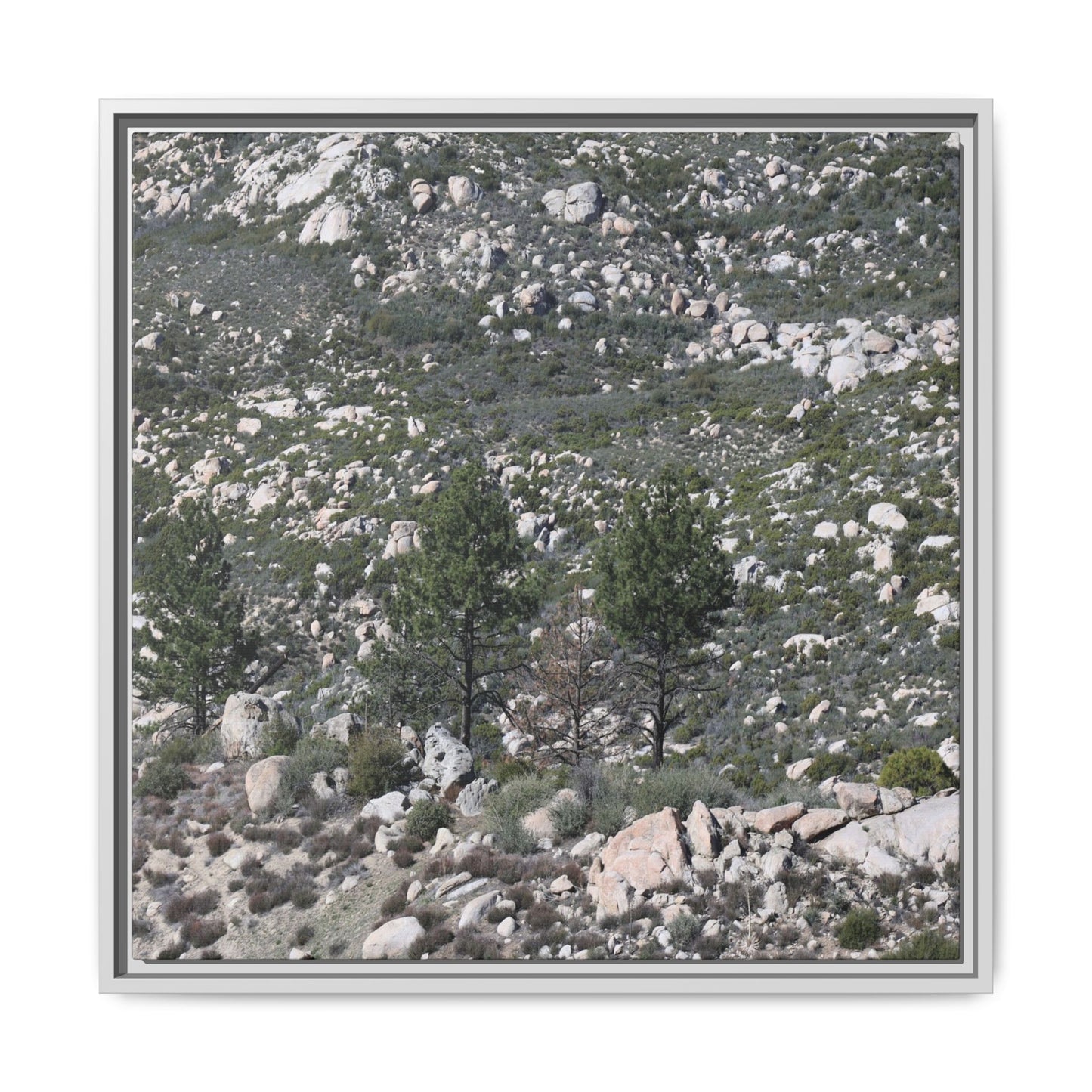 Rocky Hillside with Pine Trees - Unique Stretched Canvas Wall Art - Art By Earth