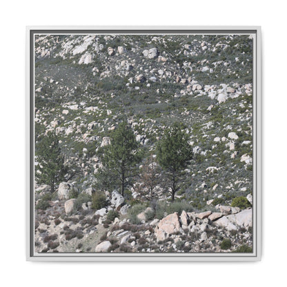 Rocky Hillside with Pine Trees - Unique Stretched Canvas Wall Art - Art By Earth