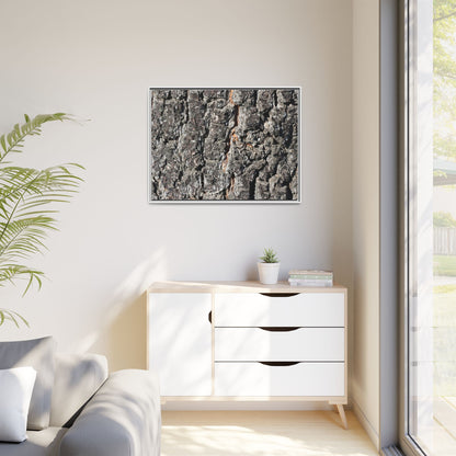 Aged Beauty - Unique Stretched Canvas Wall Art - Art By Earth