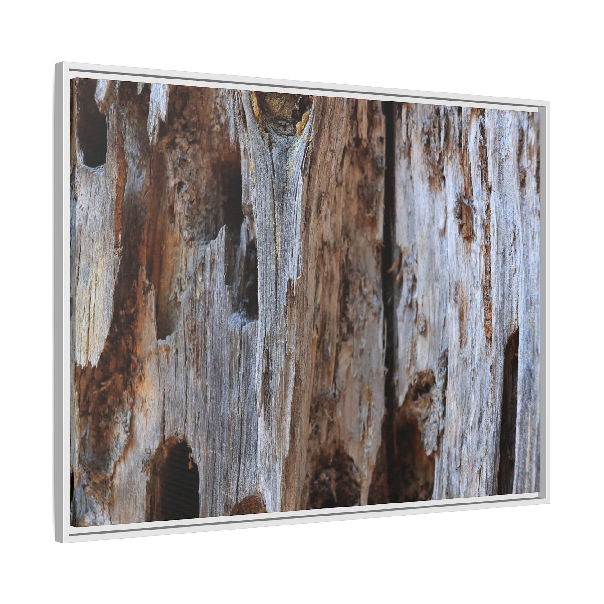 Decaying Splendor - Unique Stretched Canvas Wall Art - Art By Earth