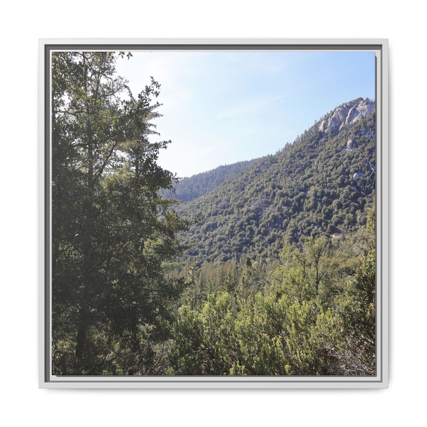 Mountain Valley Forest - Unique Stretched Canvas Wall Art