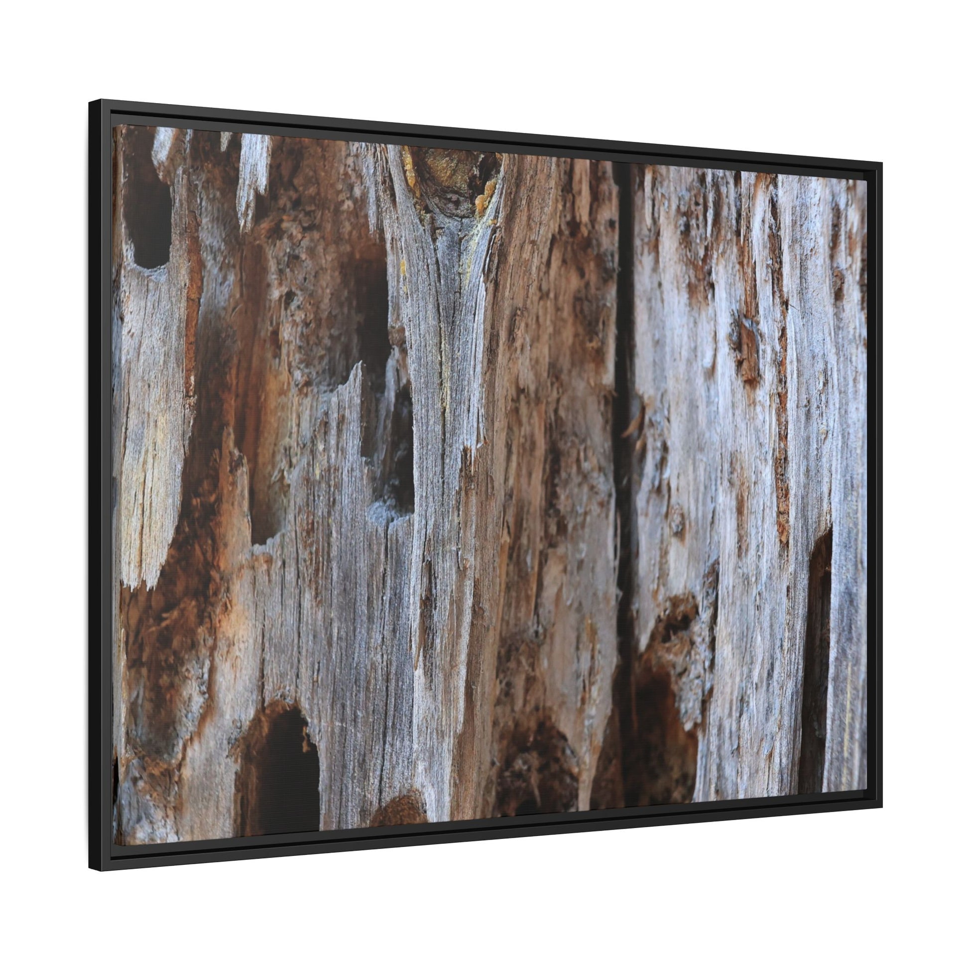 Decaying Splendor - Unique Stretched Canvas Wall Art - Art By Earth