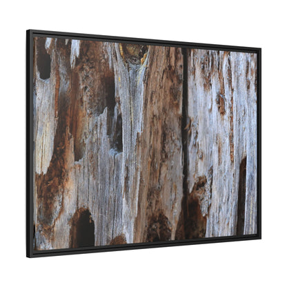 Decaying Splendor - Unique Stretched Canvas Wall Art - Art By Earth