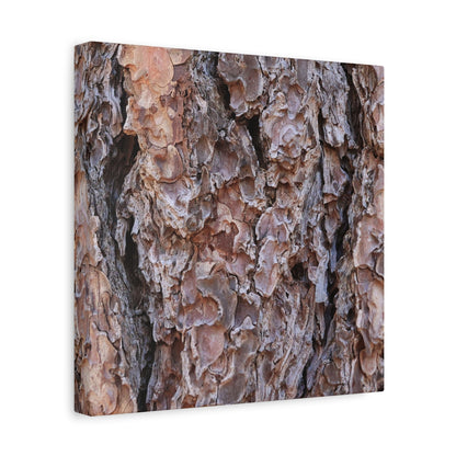 Rough Canvas - Unique Frameless Canvas Wall Art - Art By Earth