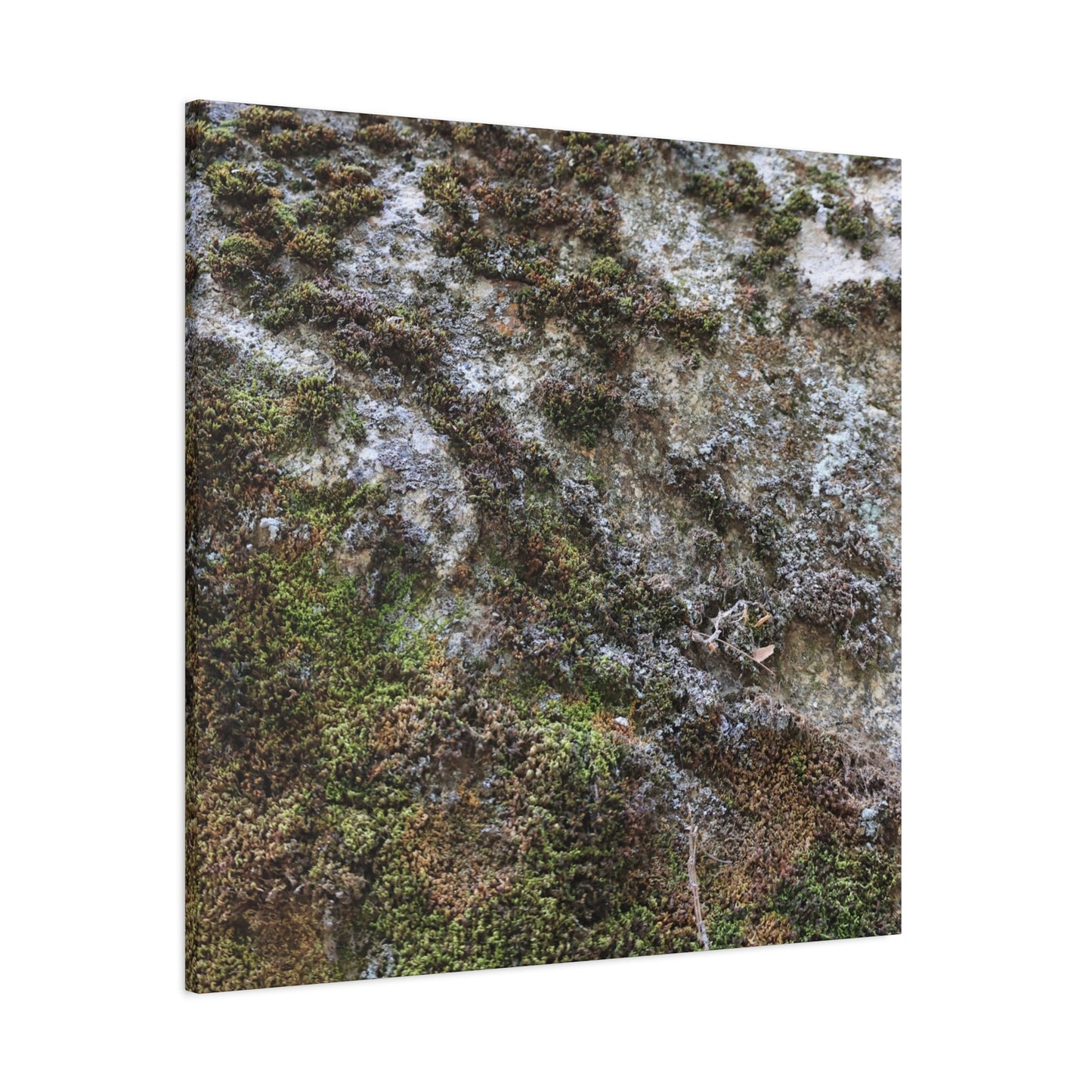 Moss Tapestry - Unique Frameless Canvas Wall Art - Art By Earth