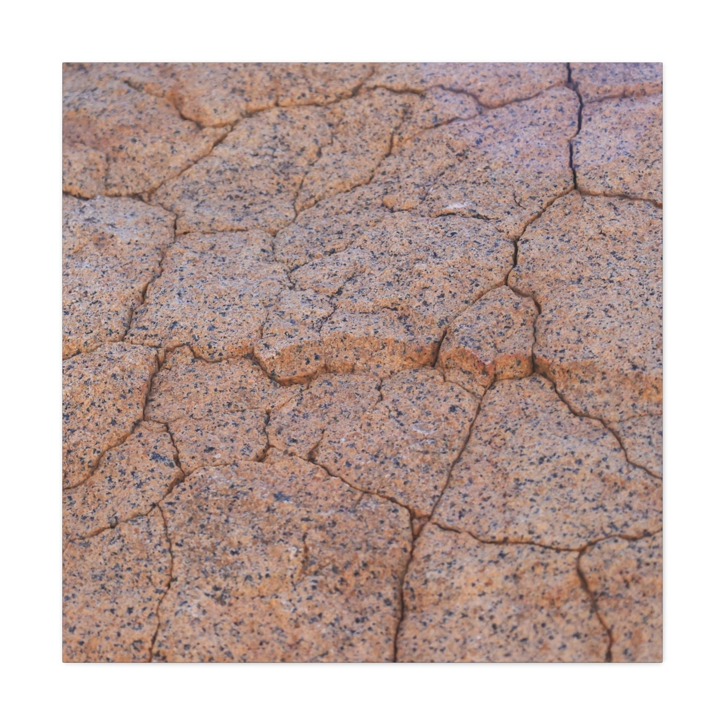 Cracked Earth's Whispers - Unique Frameless Canvas Wall Art - Art By Earth