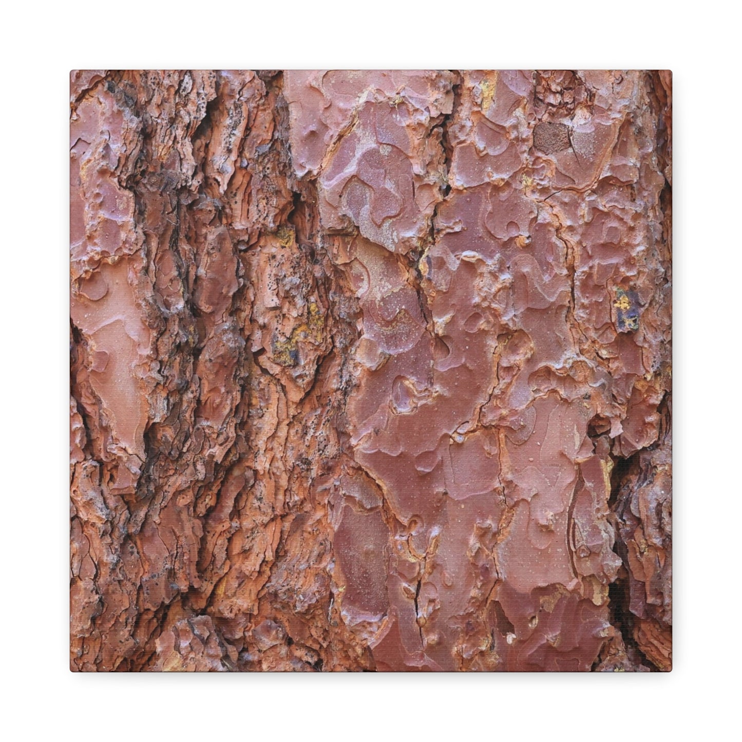 Rusty Textures - Unique Frameless Canvas Wall Art - Art By Earth