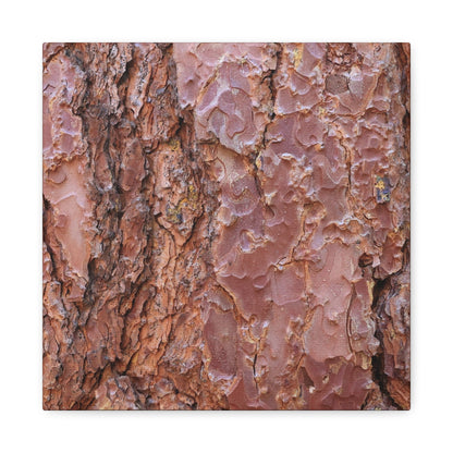 Rusty Textures - Unique Frameless Canvas Wall Art - Art By Earth