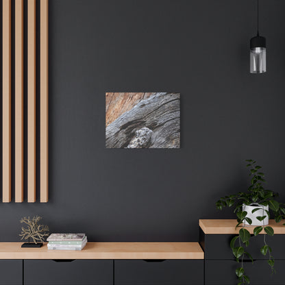 Tree Bark Texture - Unique Frameless Canvas Wall Art - Art By Earth