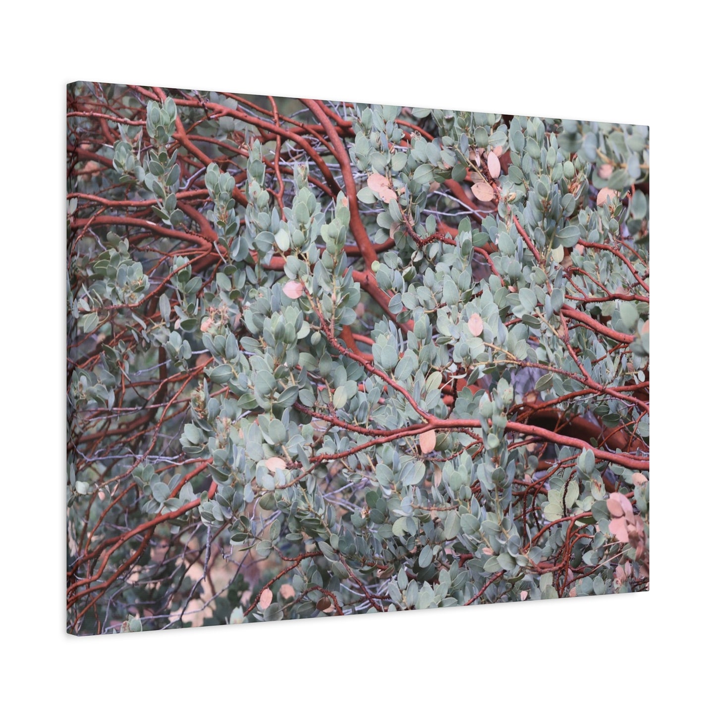 Whispers of Silver and Rust - Unique Frameless Canvas Wall Art - Art By Earth