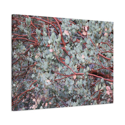 Whispers of Silver and Rust - Unique Frameless Canvas Wall Art - Art By Earth