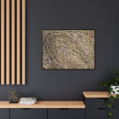 Tangled Grass Symphony - Unique Stretched Canvas Wall Art - Art By Earth