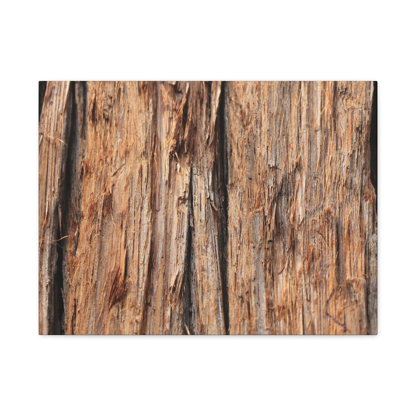 Woodland Echoes - Unique Frameless Canvas Wall Art - Art By Earth