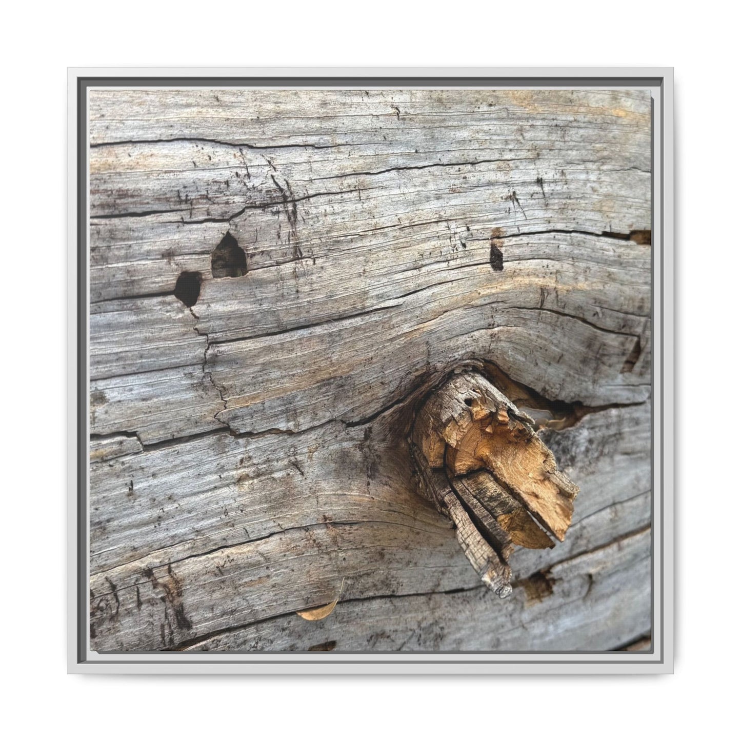 Weathered Wood Texture - Unique Stretched Canvas Wall Art - Art By Earth