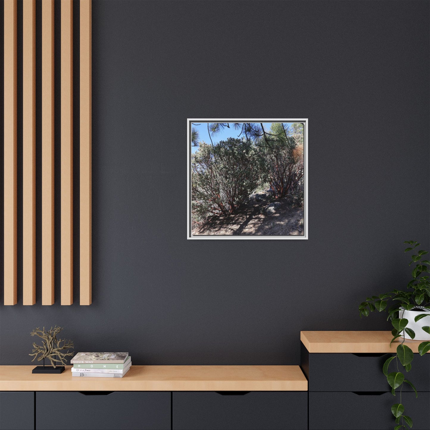 Desert Trail Through Blooming Manzanita - Unique Stretched Canvas Wall Art