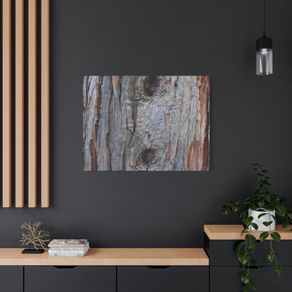 Wooden Memoir - Unique Frameless Canvas Wall Art - Art By Earth