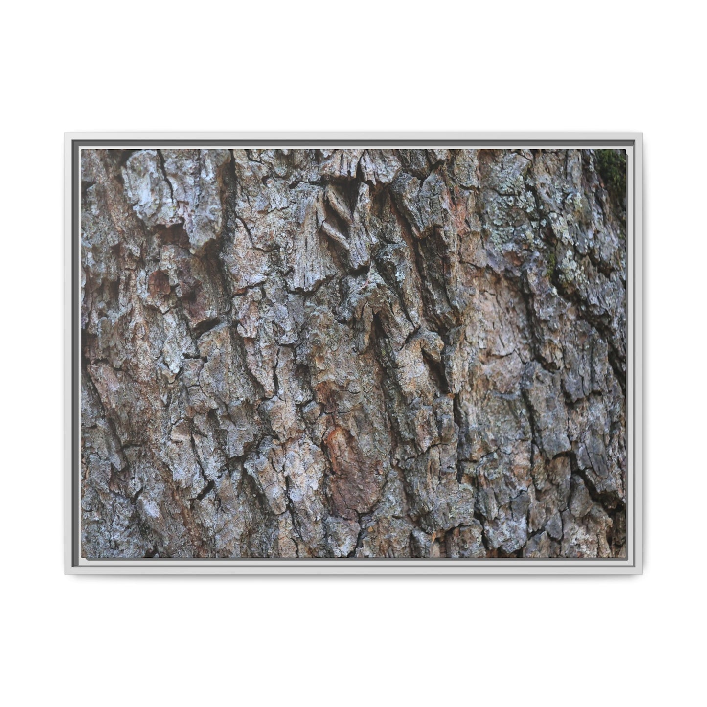 Woodland Skin - Unique Stretched Canvas Wall Art - Art By Earth