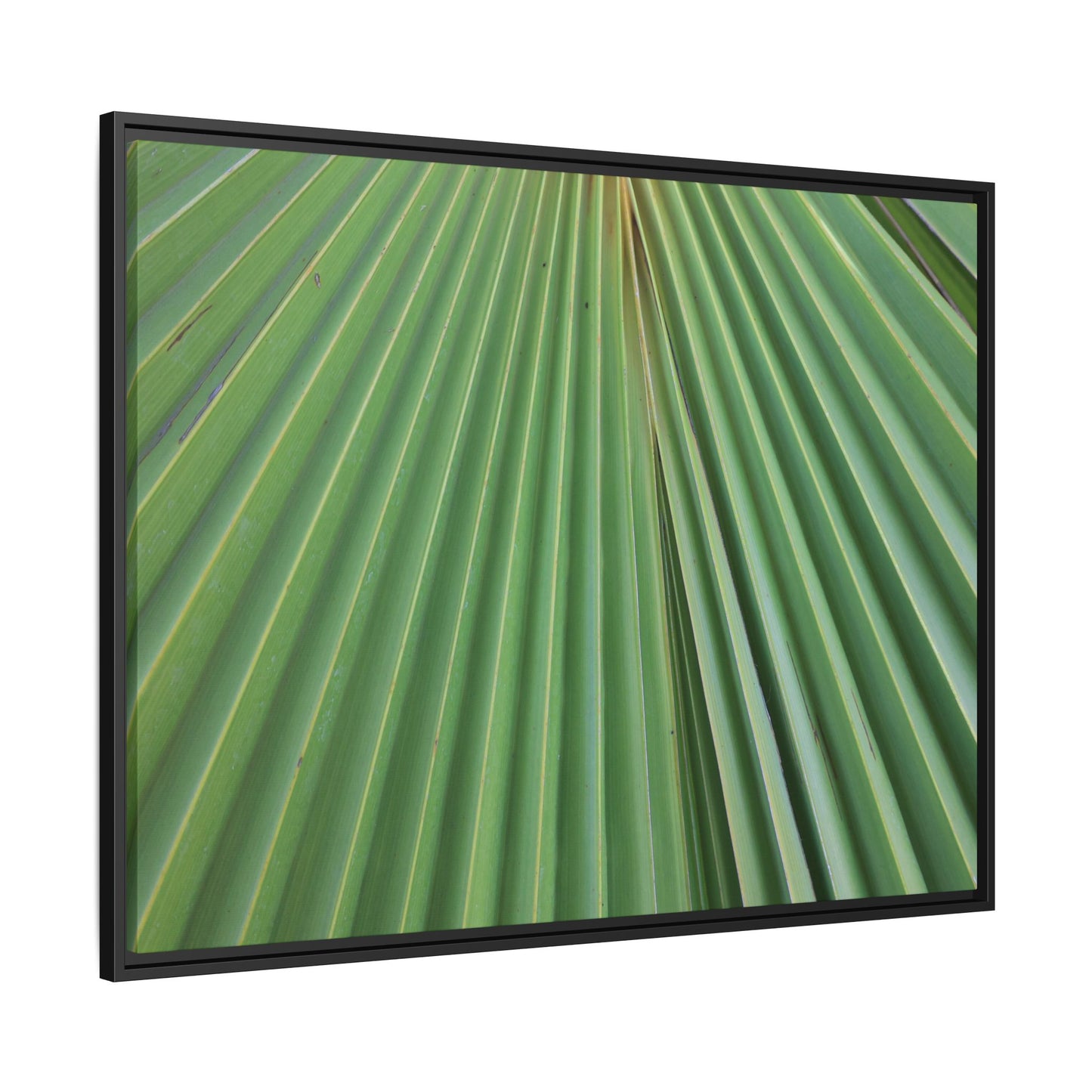 Verdant Veins - Unique Stretched Canvas Wall Art - Art By Earth