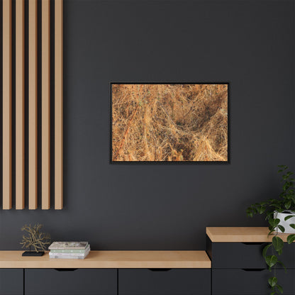 Dried Vegetation Study - Unique Stretched Canvas Wall Art - Art By Earth