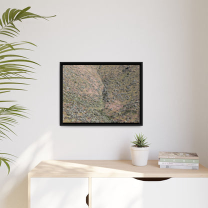 Mountain Slope with Desert Vegetation - Unique Stretched Canvas Wall Art - Art By Earth